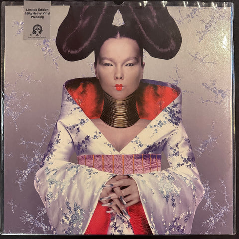 BJORK HOMOGENIC