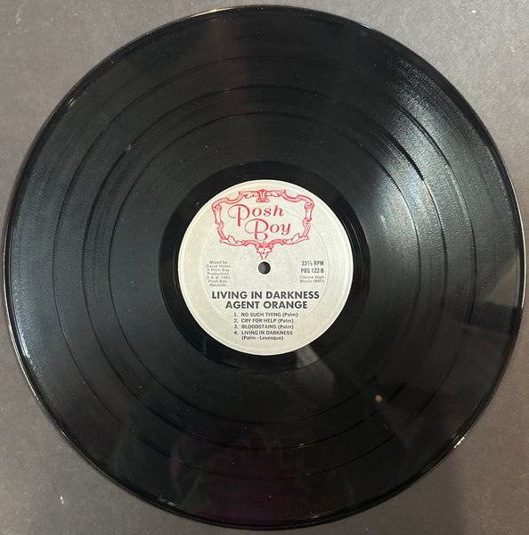 AGENT ORANGE LIVING IN DARKNESS