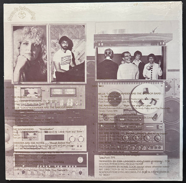 THE BOSTON INCEST ALBUM